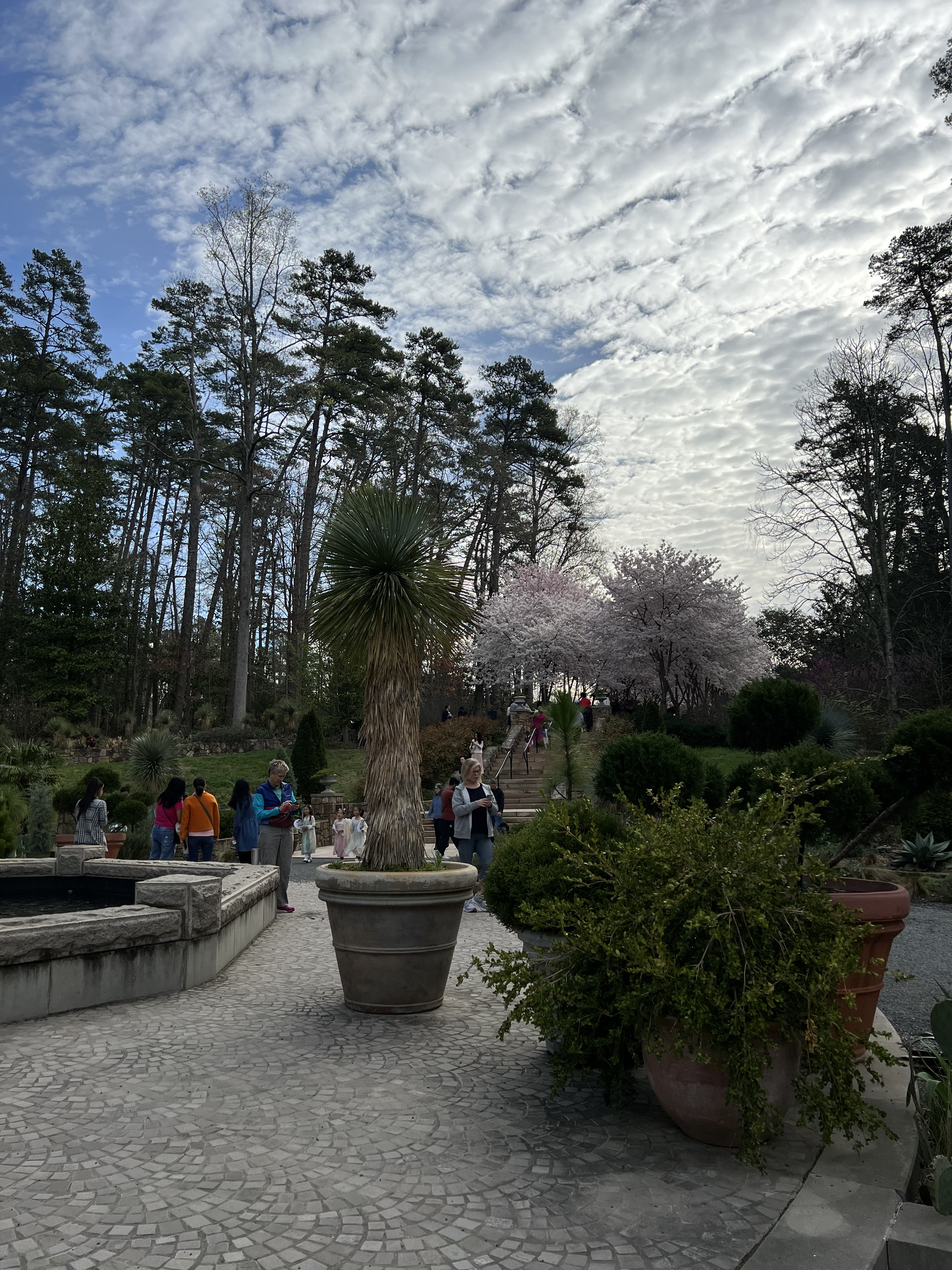 ./2024/06 - Duke Gardens/IMG_1045.jpg